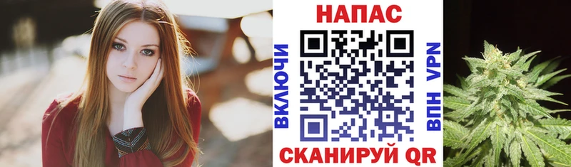 Купить закладку Галлюциногенные грибы  Кокаин  МЕФ  АМФ  ГАШИШ  СОЛЬ  Болгар