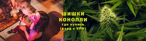 тгк Дмитров