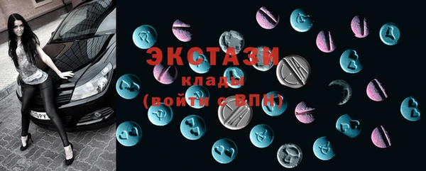гидра Елабуга