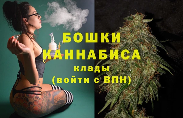Альфа ПВП Дмитриев