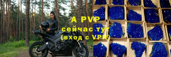тгк Дмитров