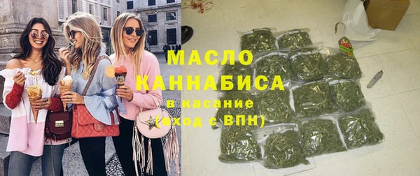 тгк Дмитров