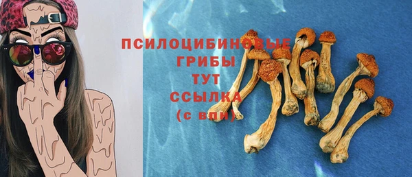 тгк Дмитров