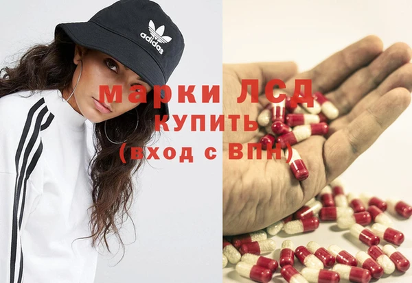 эйфоретик Ельня