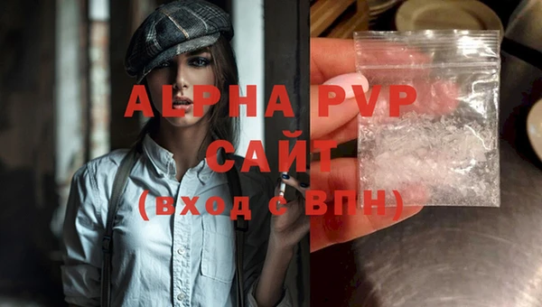 гидра Елабуга