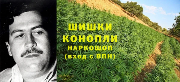 тгк Дмитров