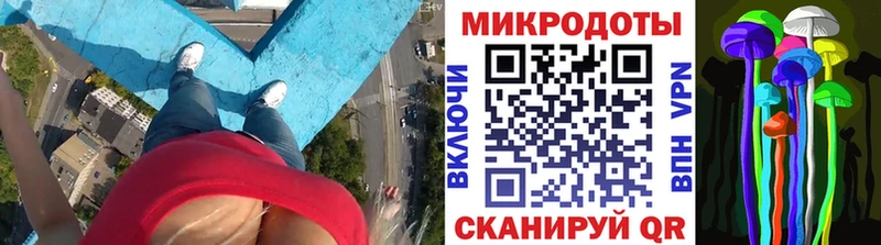 Псилоцибиновые грибы мицелий  Купить  Болгар 